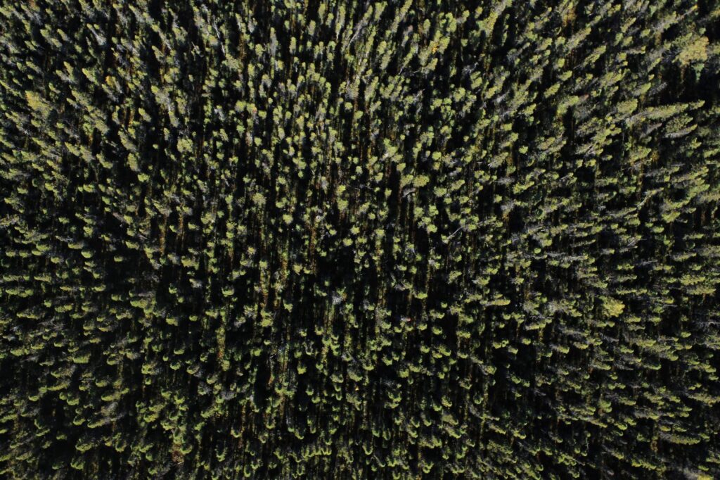lidar images