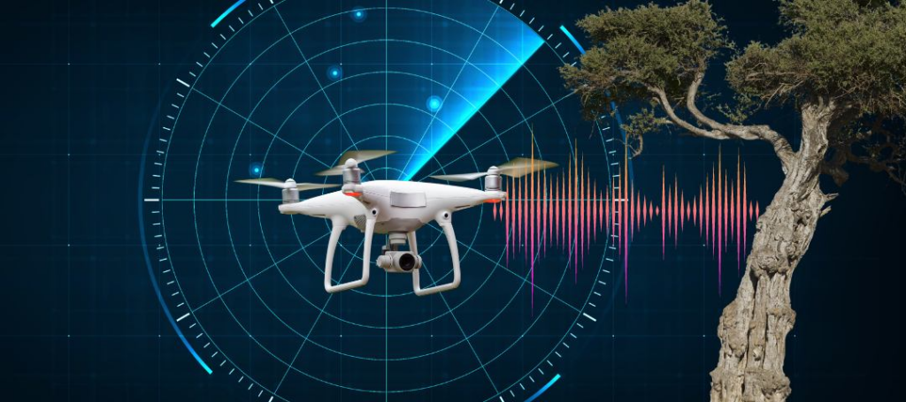 Drone Obstacles